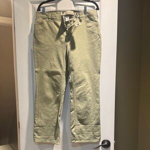 GAP Sage Green Casual Pants